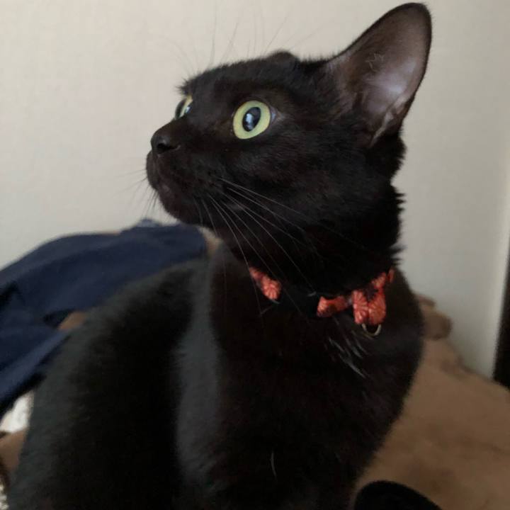 Fee4b047 973b 44f5 9b6e 873fdbf490c2 1543318395180