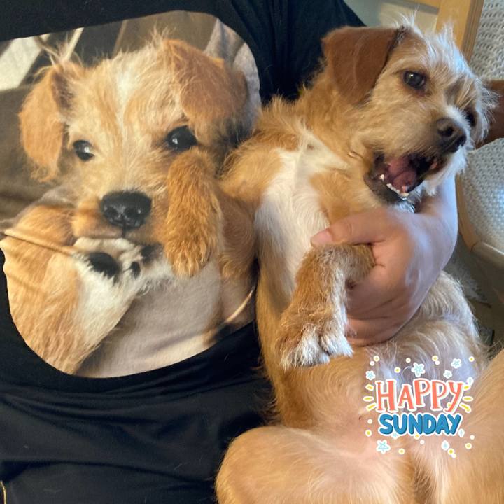 Fee50d75 218b 4d6f a855 f61b41c932cb 1622940026287