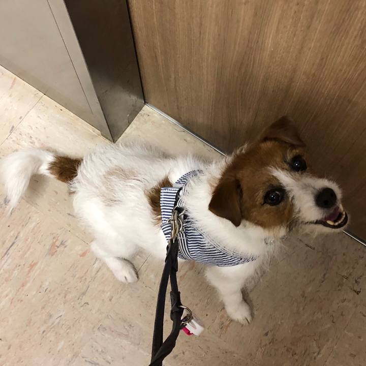 Fee52f86 f88b 44d1 8aa1 db87753ce06f 1527972559624