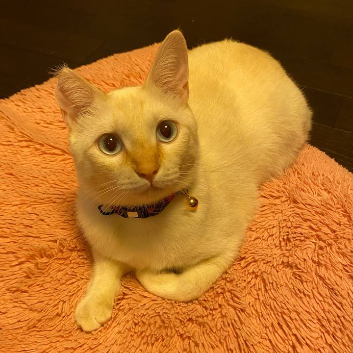 Fee53755 6a4e 4c01 bc64 a3f0ebfb254b 1603374827326