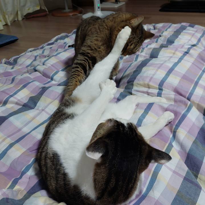 Fee57730 e291 40eb b343 bf5575d5d287 1633697479818