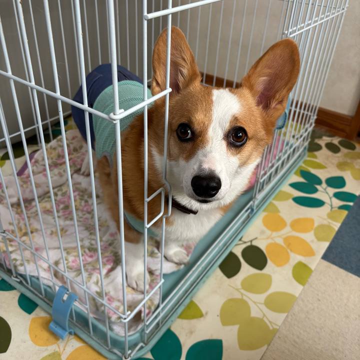 Fee5c689 862e 4ddc b8d3 aed272c8ca29 1758150290102