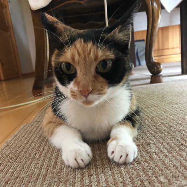 Fee5d120 0129 4598 9c0a c5b196e0e5e4 1559952378915