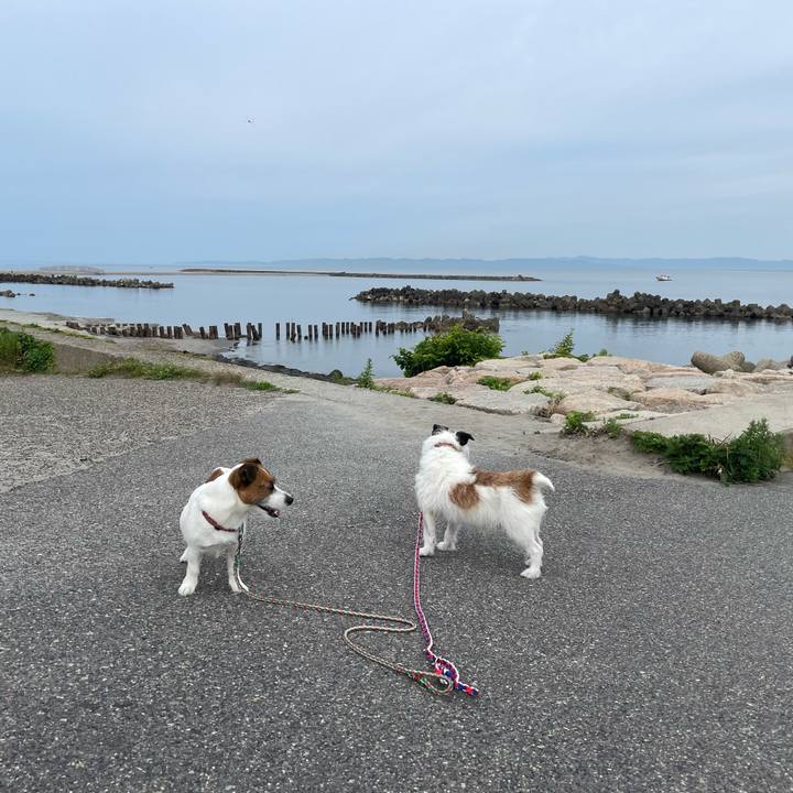 Fee5e787 e9a1 43d2 b0e0 97a4c03629ce 1719532143927