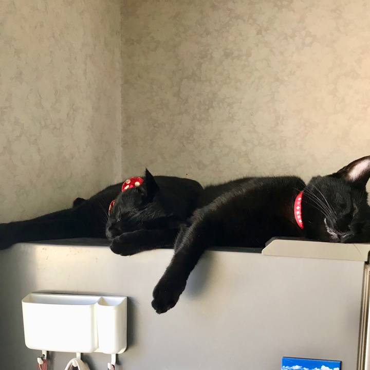 Fee5fe13 12c0 410c 993a 5228e26da301 1527817439907