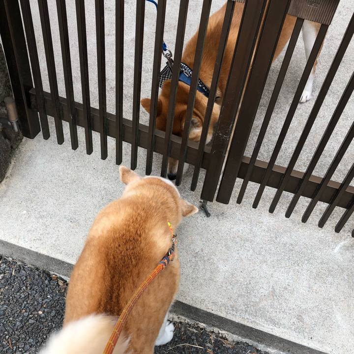 Fee62c1d d71f 47d1 9edd f36f217d706b 1550368992381