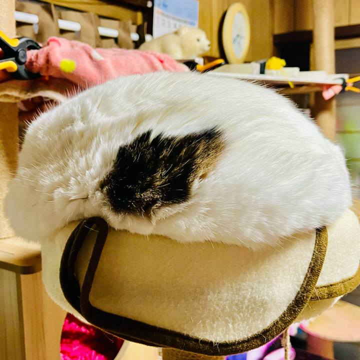 Fee63f2e 24b2 4a12 9d6f 30a67b48a886 1773699837447