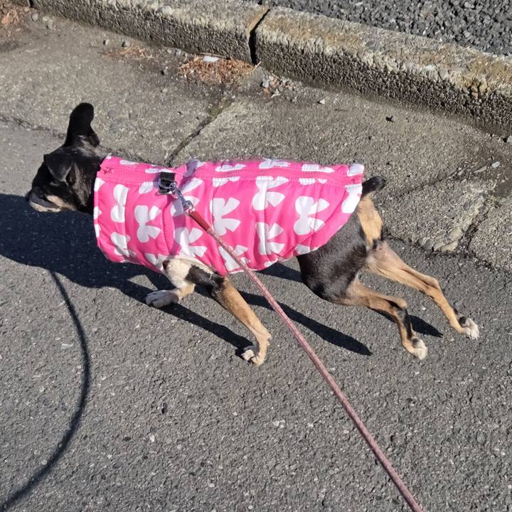 Fee63f53 090b 4bbe a81b 4846690bb4a4 1771030641016