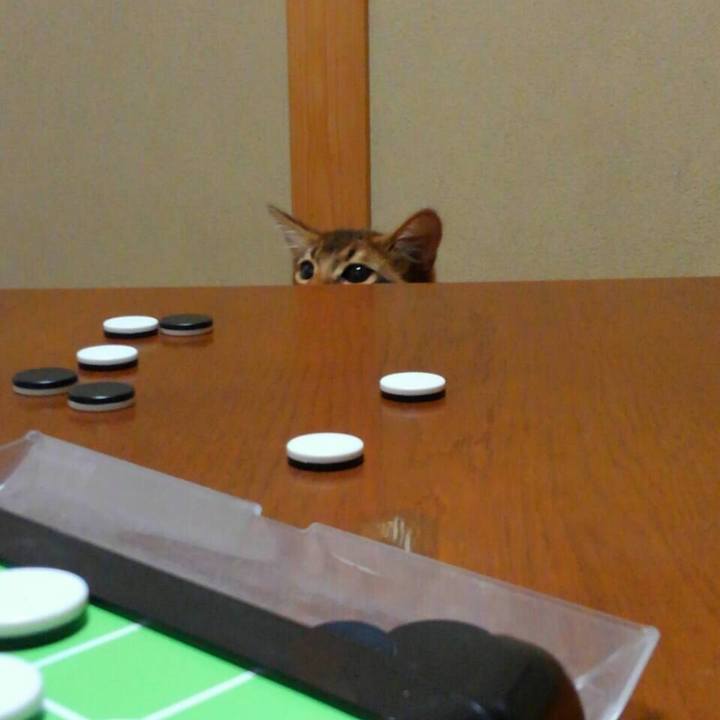 Fee659e5 f58d 4b18 a2af 10420cb30d4d 1584569845478