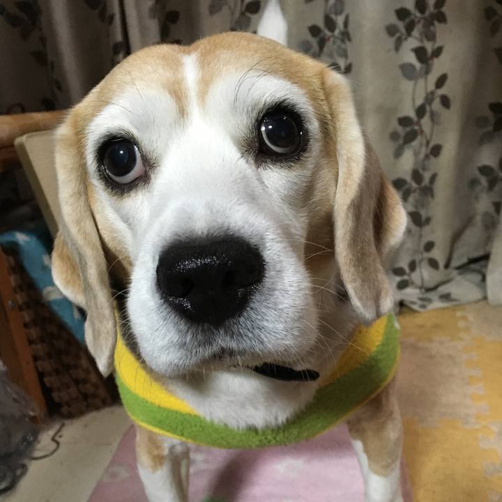 Fee69067 8412 4fb5 94e3 7d7ec168de3d 1554904164035