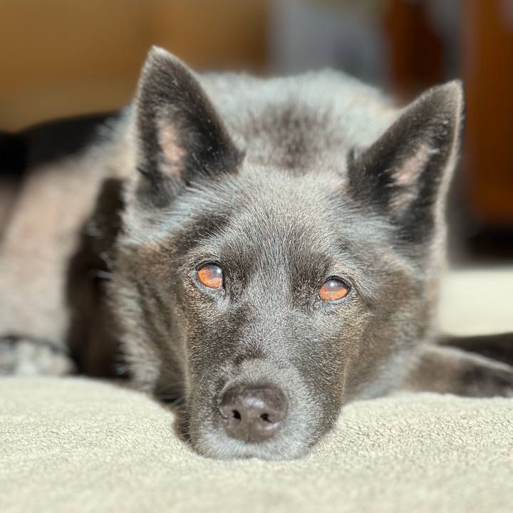 Fee69808 5cec 4cc3 b6e1 a27693b7bf5a 1705714332940