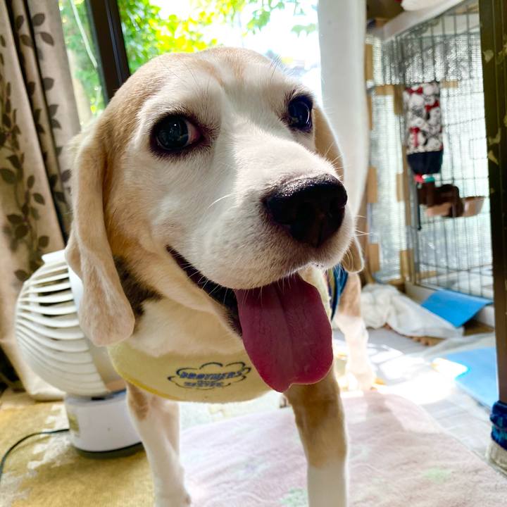 Fee69c7c 8a42 4fca a9dd 65321caa520f 1631245355675