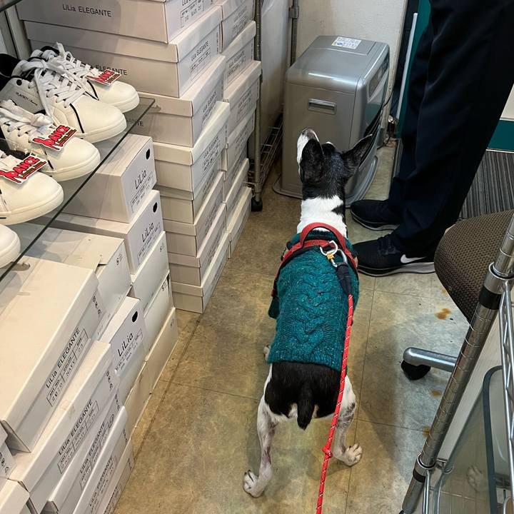 Fee6aba3 aa71 4106 b83b c0acf18b48fe 1638069177136