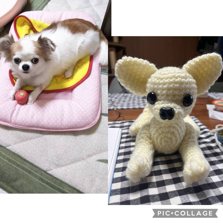 Fee6b4be a2b1 4e62 840e 999c8876e0c0 1739442452380