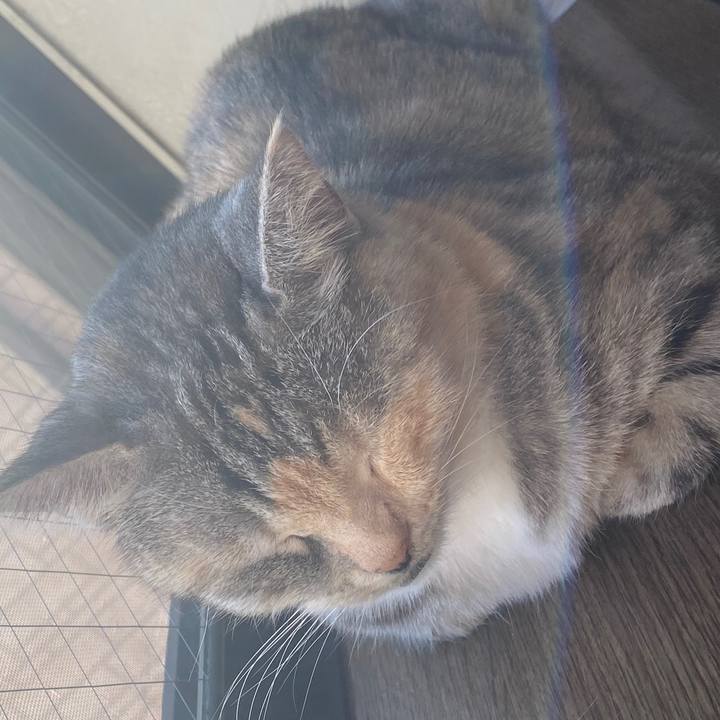 Fee6b65f 16e3 41c6 bf33 68ada90c210c 1578634360208