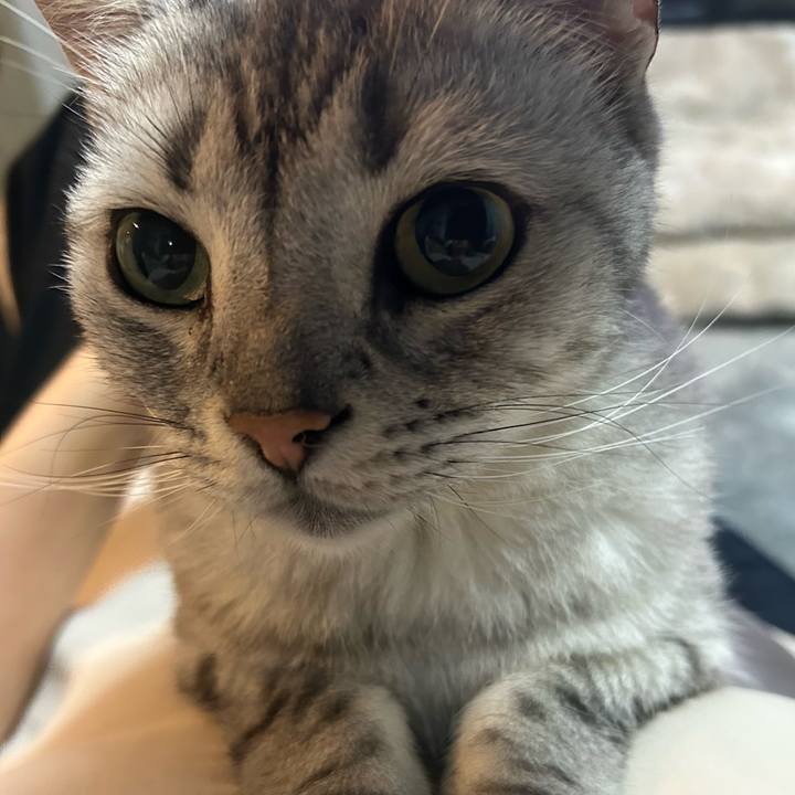 Fee6b90a 45ae 4847 910b 66ac99fdb971 1720007816828