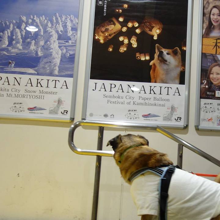 Fee73e81 0b41 4266 9e26 eb7f90fae106 1516530417736