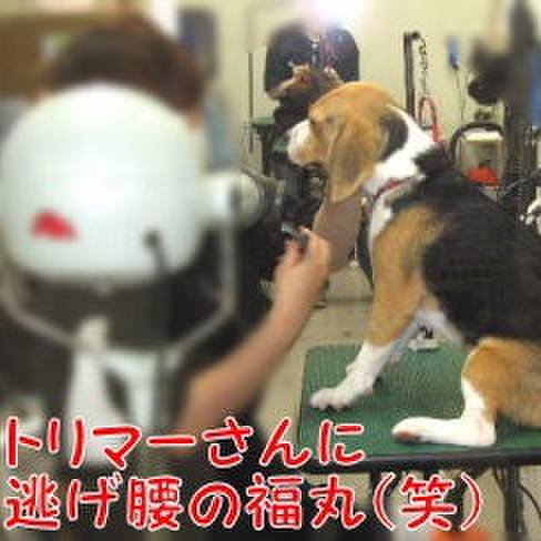 Fee746a5 4737 4acb b472 749cbdde3220 1688596480428