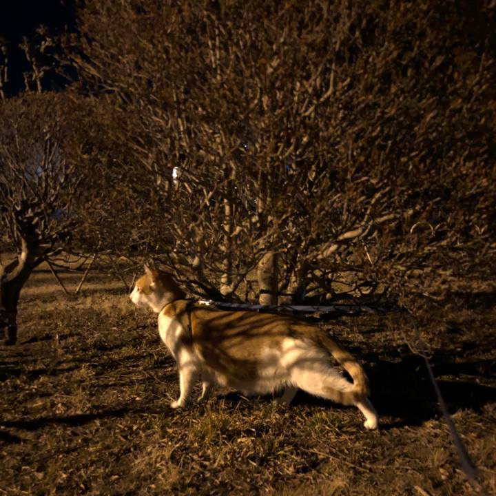 Fee76ced d0f1 46c8 9eb6 f25d68c4e756 1551608807226