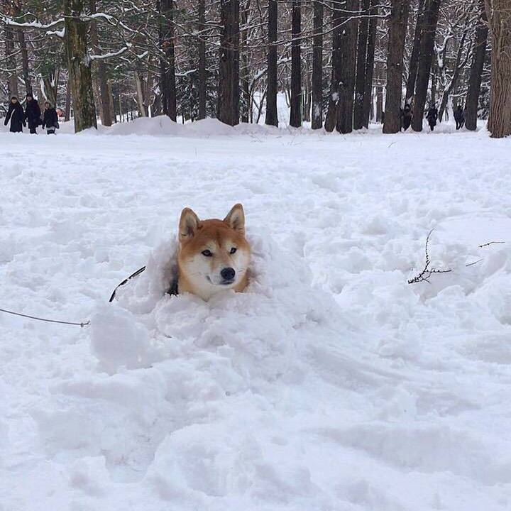 Fee78684 fb0a 416e af14 89cf267e6f68 1520054647840