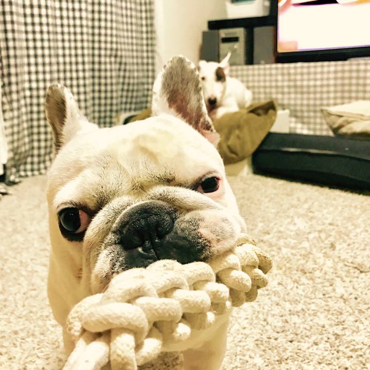 Fee78dfa 3a0b 4f07 84cf 7f93a15c2f1a 1513073878648