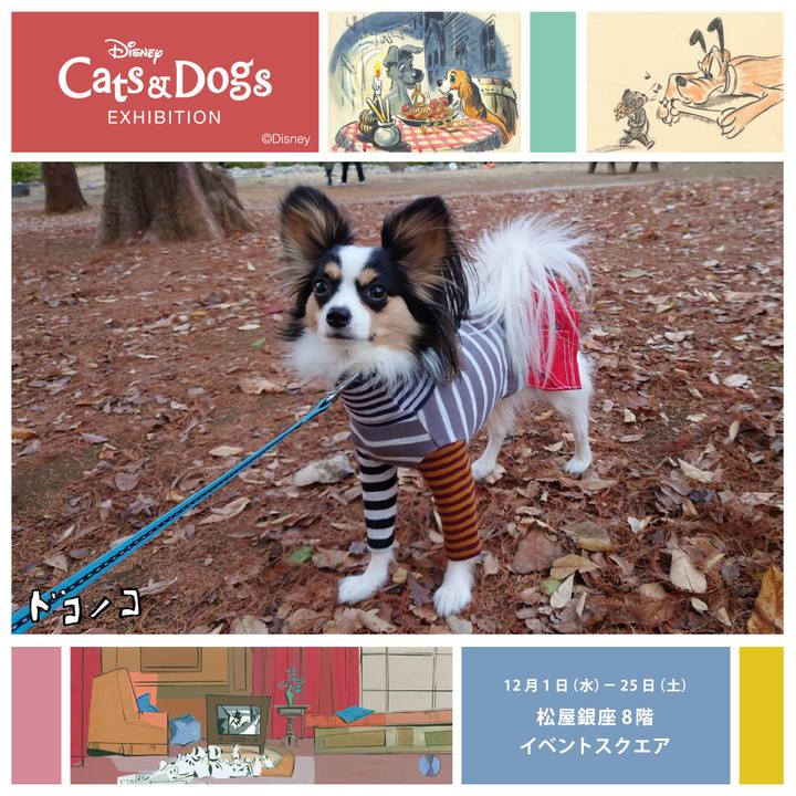 Fee7eccb 7abe 4e14 af0a 94faf1822199 1639142678666