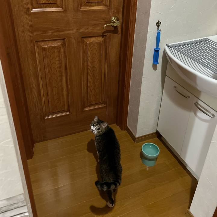 Fee7fb27 ea97 4afa b185 e5cd13a11215 1684936224446