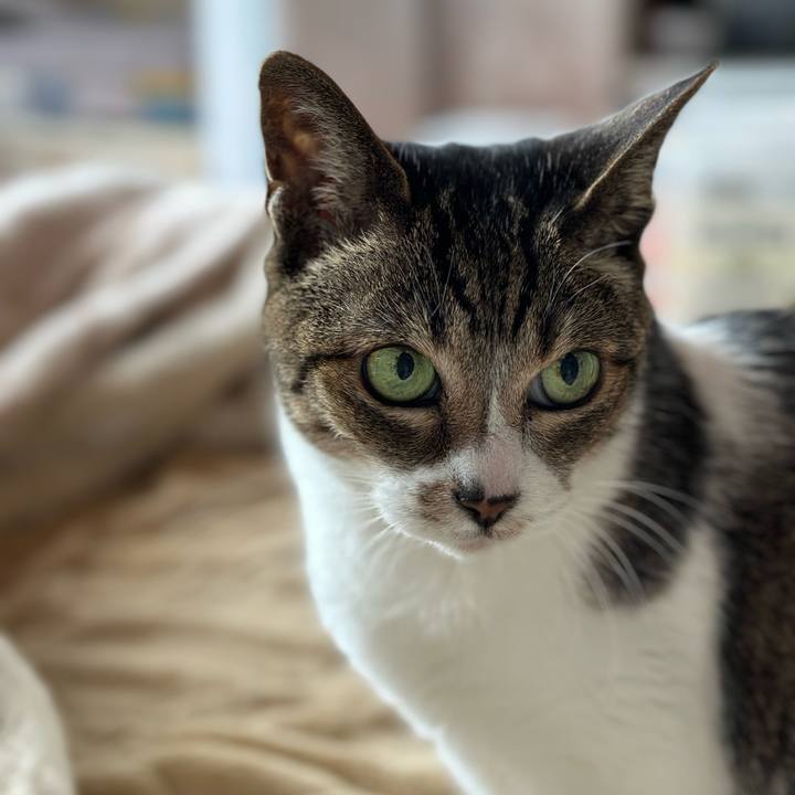 Fee807b0 7b6d 4116 bbd8 14adfff0015e 1680227182432