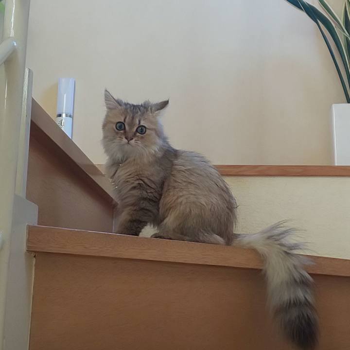 Fee81b35 0cff 436d b8ca e3e12b2a2ac1 1558917318929