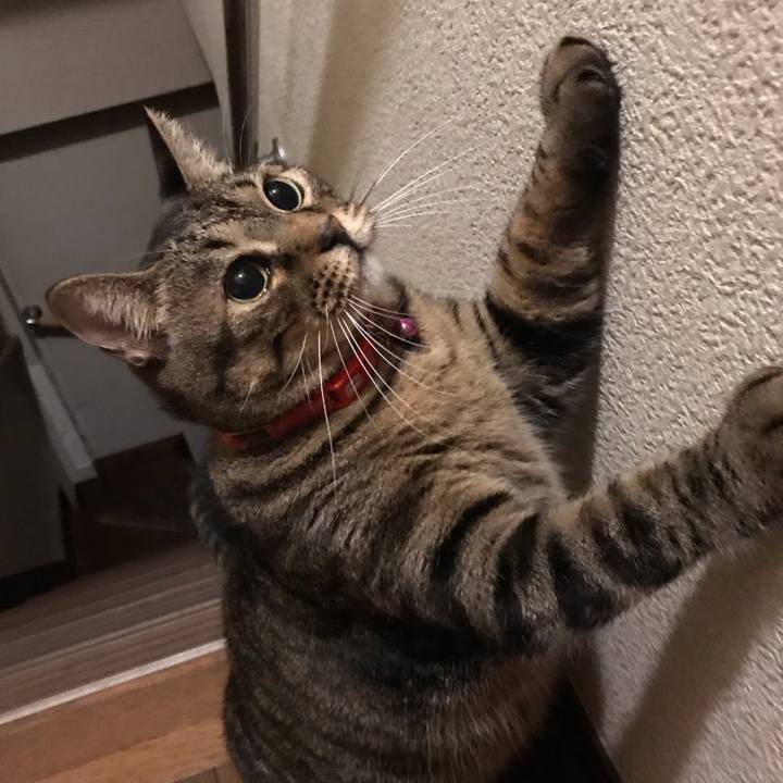 Fee82f60 9706 4cc3 8fa4 67792b54ff5e 1538401832445