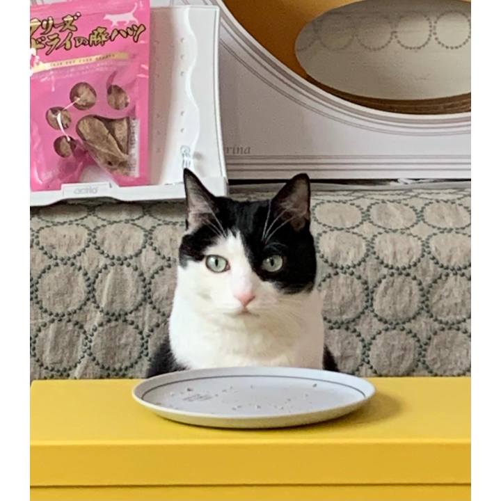 Fee83fdc b81a 4263 96c1 0281b868550e 1639174840771