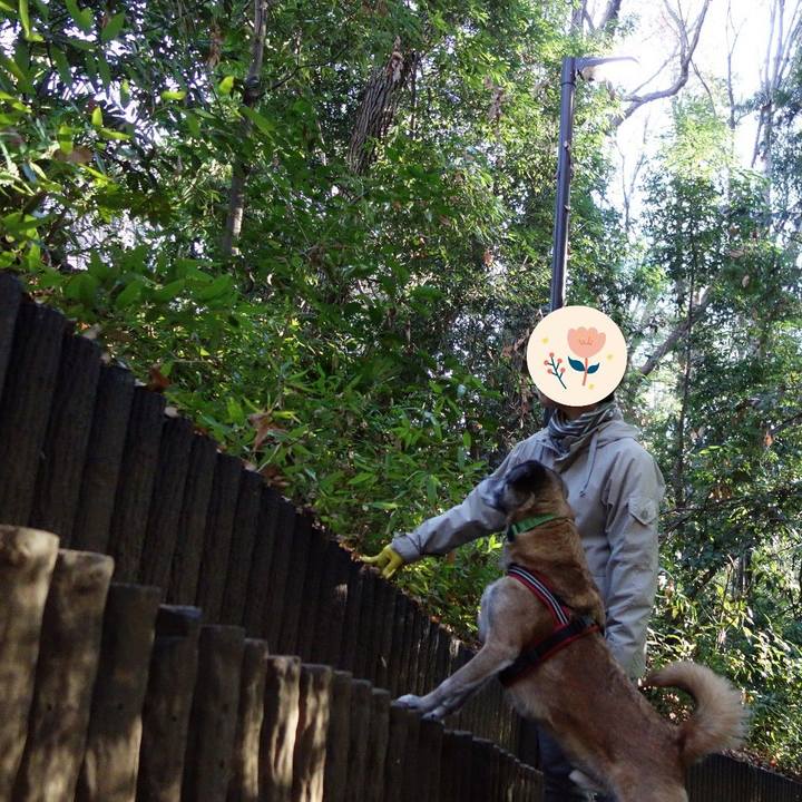 Fee84638 2b47 42bc 9cf1 078955586a9f 1625876118851