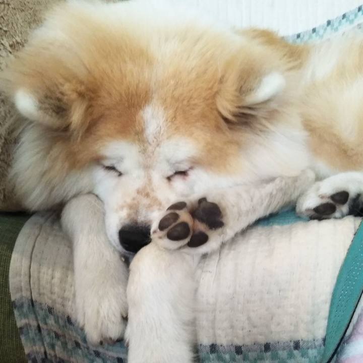 Fee8588c 2ab5 4e6c adf8 e01aaf39d22c 1604718293183