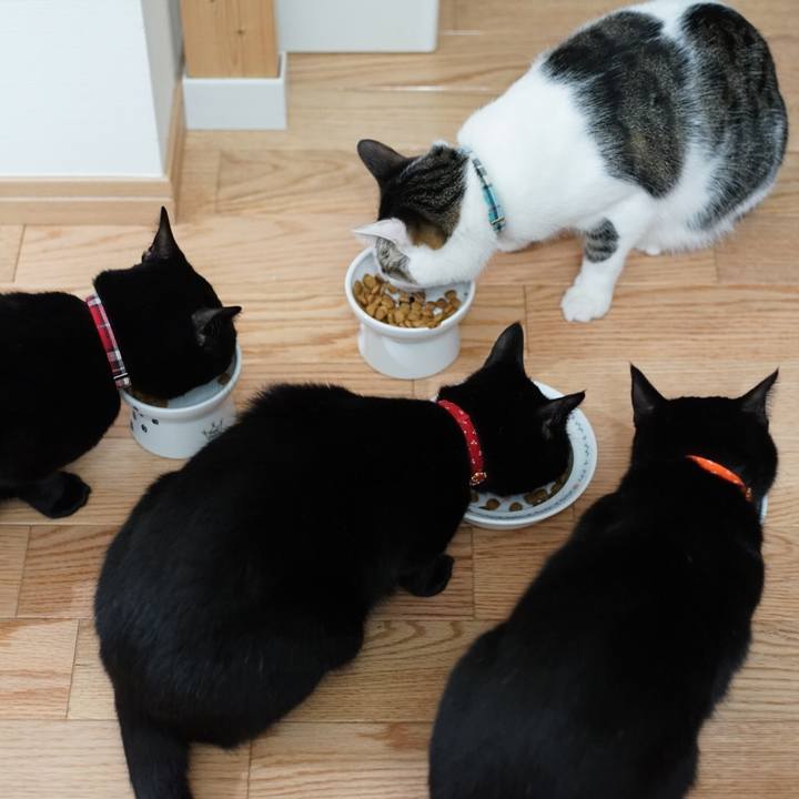 Fee858e1 3db3 4605 ae5d 6d8171386625 1521325022946