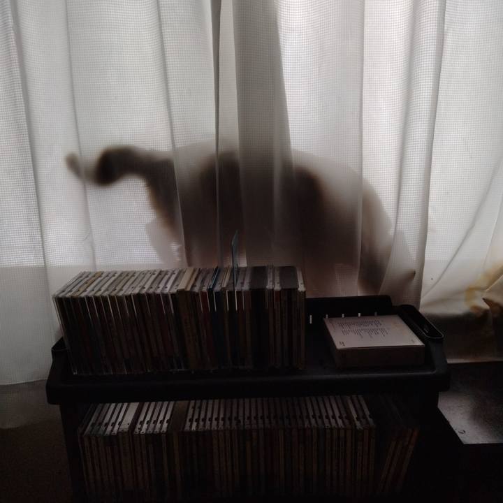 Fee885f5 324f 4860 8dda 069db8ac8a02 1675166081304