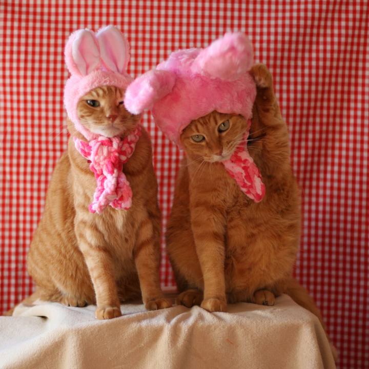 Fee88f94 cab9 414b b046 e9fb5f5adfed 1513393799800