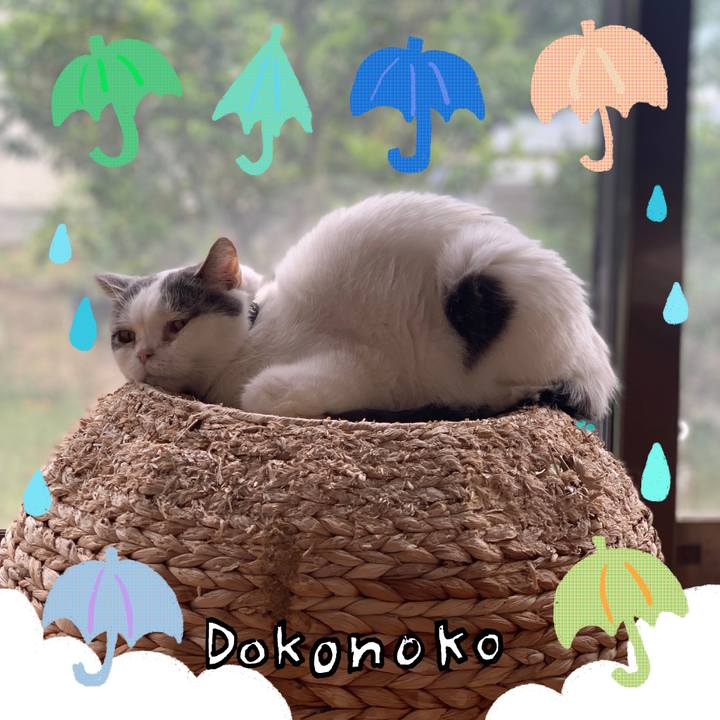 Fee89cb6 9276 45a1 ae85 cadd6b22149c 1717986282983