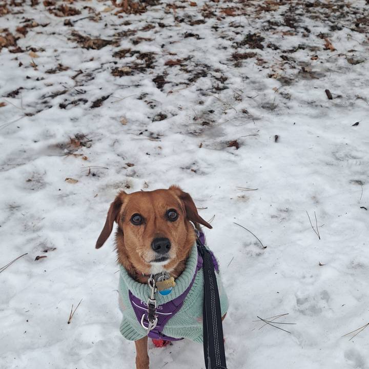 Fee9048c 74a2 460d bfcd f91878303990 1765983881036