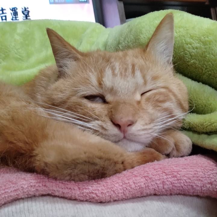 Fee91696 6f8c 47e2 91b0 0cf11329f08d 1668307161767