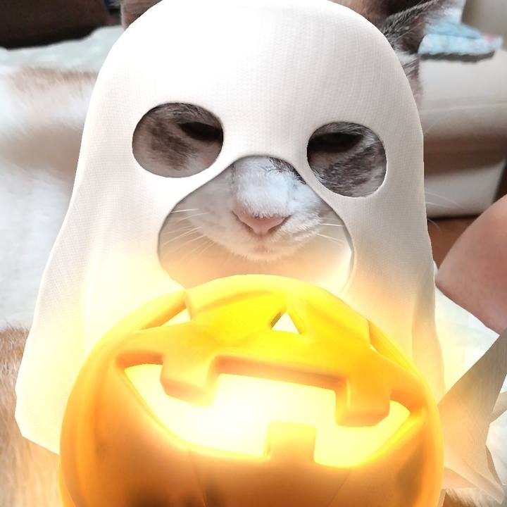 Fee93a77 1b0f 4eb3 8908 a8f5682831bd 1570880413543