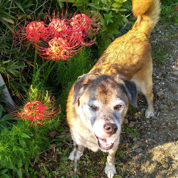 Fee95238 a6ea 4701 829c 9f24db2e5104 1569543123898