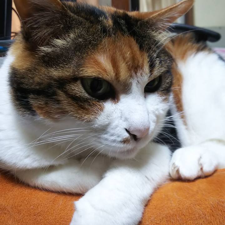 Fee96225 2328 4b30 8dbb 8274d8543dc5 1562722298247