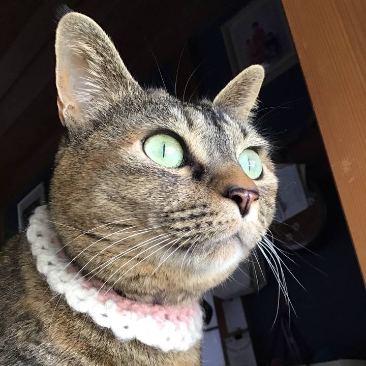 Fee9647e f2e4 4449 bda9 fe6be7b1ed7c 1742629995004