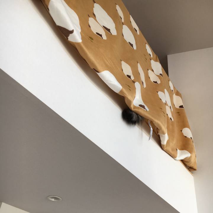 Fee98383 1ce7 4777 ae9d 582e9f1d3dc6 1517972783552