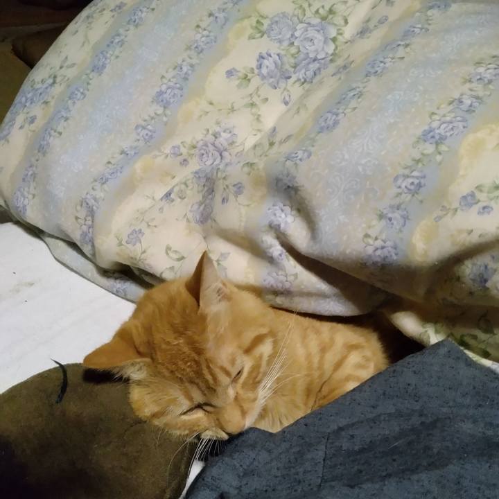 Fee9d415 6cf5 4ece a71a f6e7e9d2153a 1665146610375