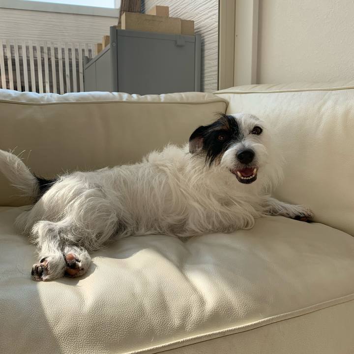 Feea4d89 80cf 4959 9edc bfdb73386159 1572410902659