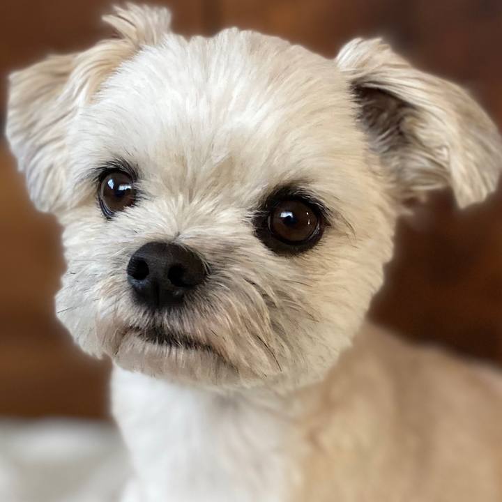 Feea836d fdbe 48cd 856a 542bcf95d10a 1585224029774