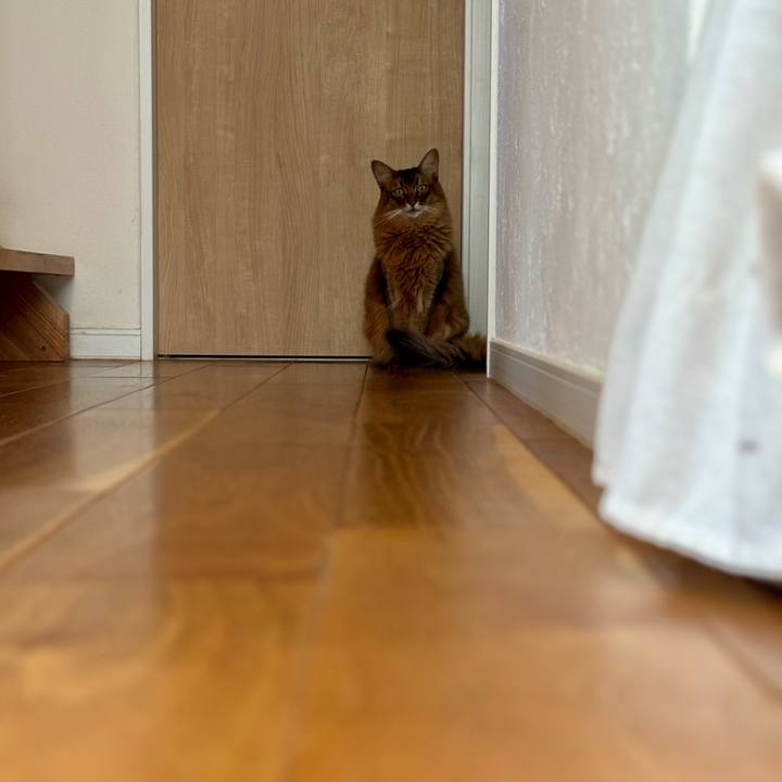 Feea8d34 3144 44d9 9684 6fed1beff04d 1763272953502