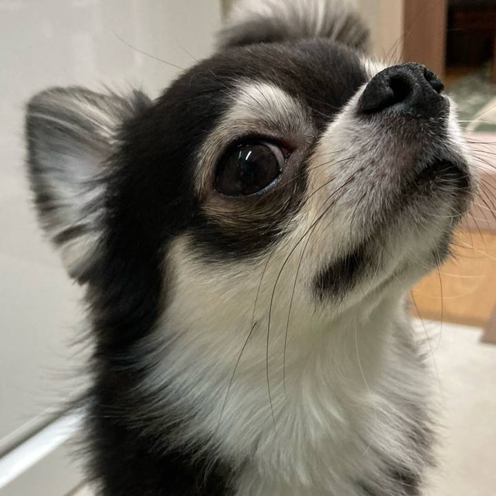 Feeaac6f 2c6b 4d98 a4df d0635fbca273 1645623712138