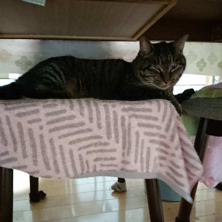 Feeab7a8 2589 4cc9 8194 fe09386f2e2c 1641329882476